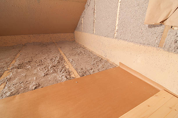 Insulation Repair Services in Nevada, IA