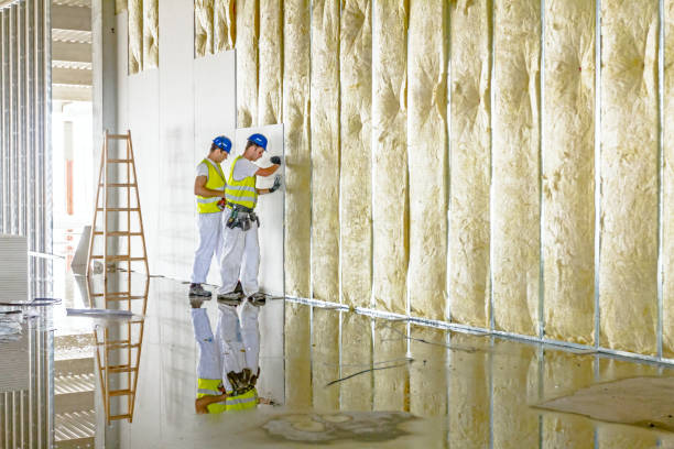 Trusted Nevada, IA Insulation Contractor Experts